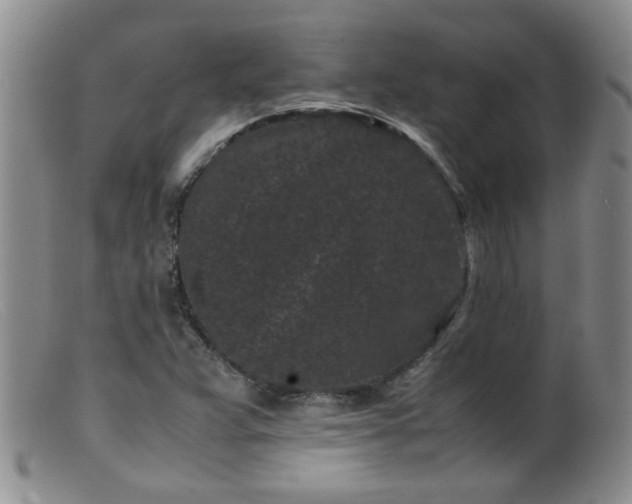 X0000099471359200805161101