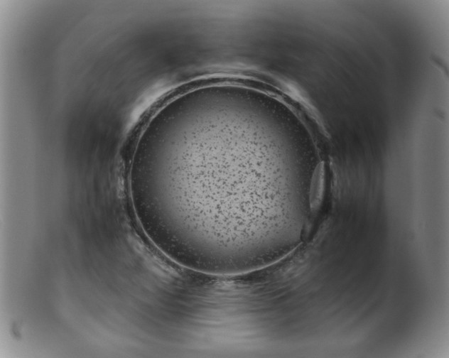 X0000099471360200805161101