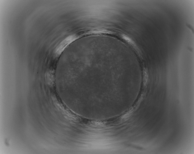X0000099471361200805161101