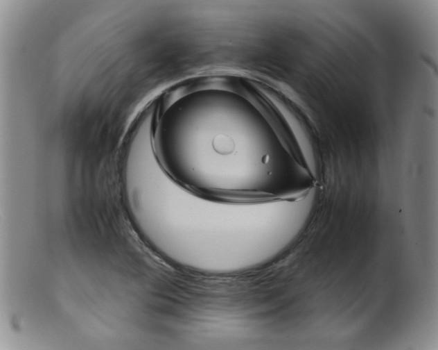 X0000099471364200805161101