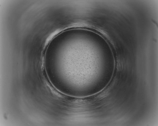 X0000099471366200805161101