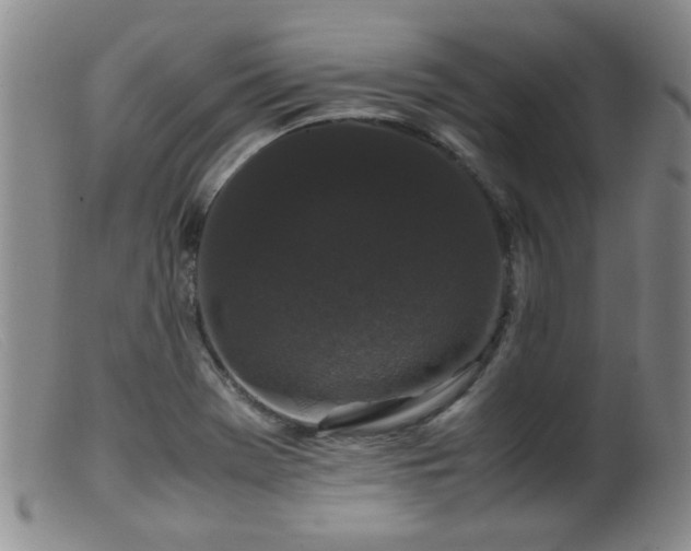 X0000099471369200805161101