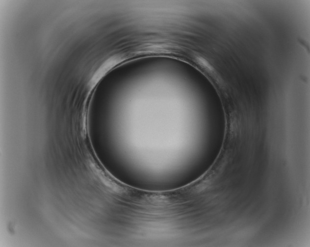 X0000099471370200805161101