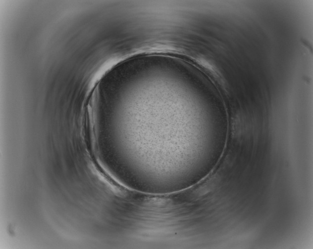 X0000099471374200805161101