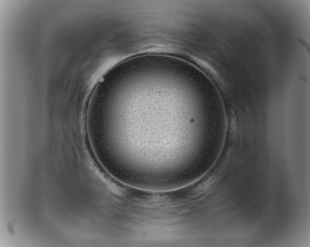 X0000099471375200805161101