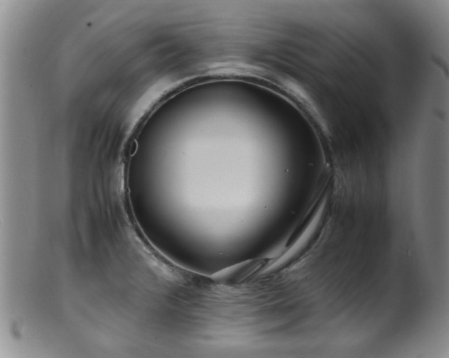 X0000099471376200805161101