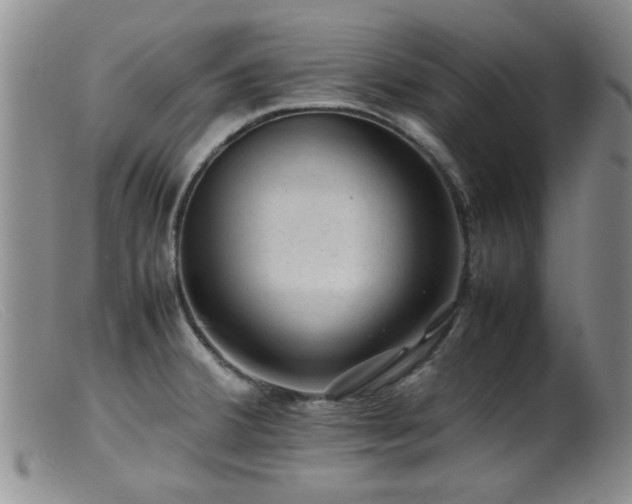X0000099471380200805161101
