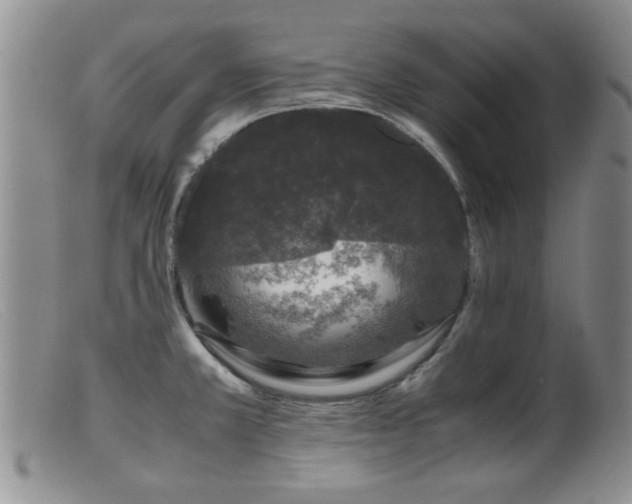 X0000099471381200805161100
