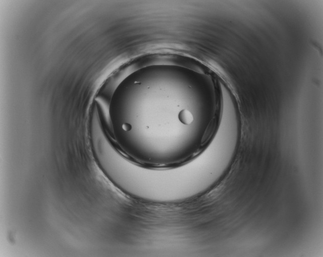 X0000099471384200805161100