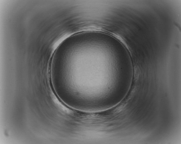 X0000099471387200805161100