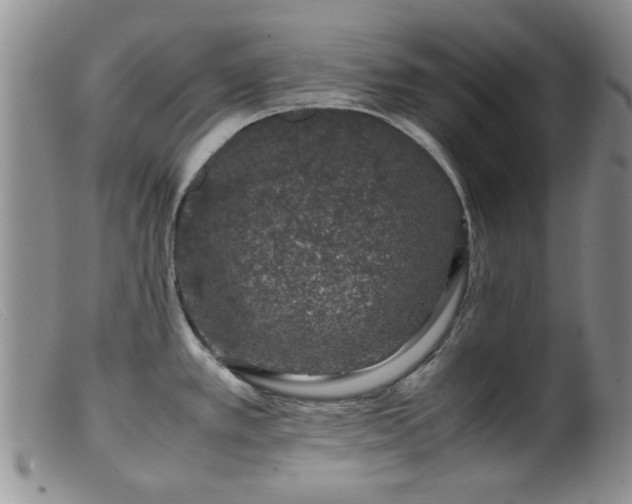 X0000099471389200805161100