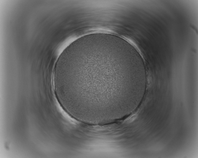 X0000099471391200805161100