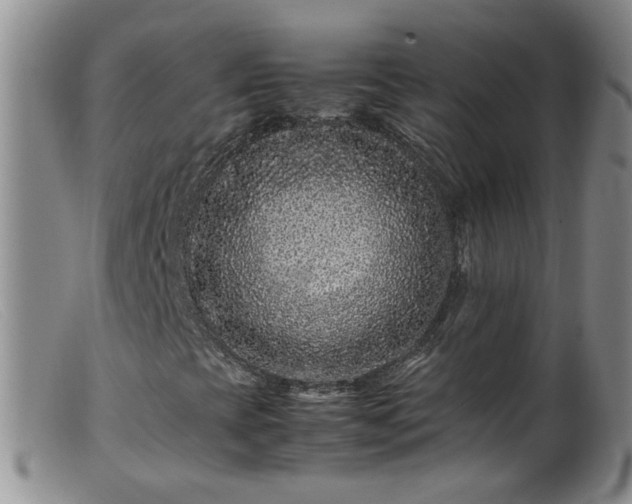 X0000099471393200805161100