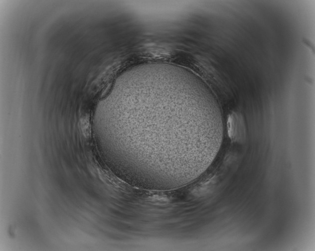 X0000099471395200805161100