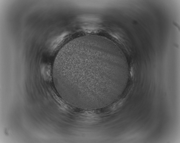 X0000099471396200805161100