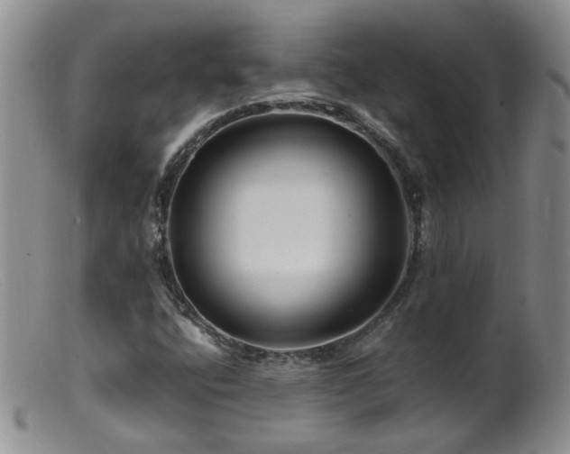 X0000099471400200805161100