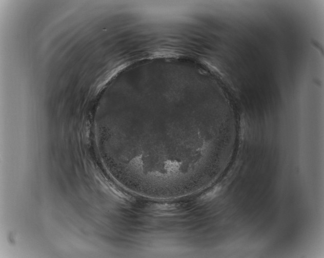 X0000099471401200805161100