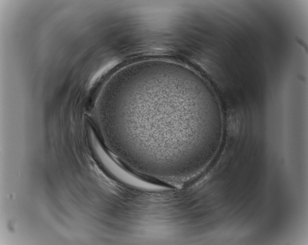 X0000099471402200805161100