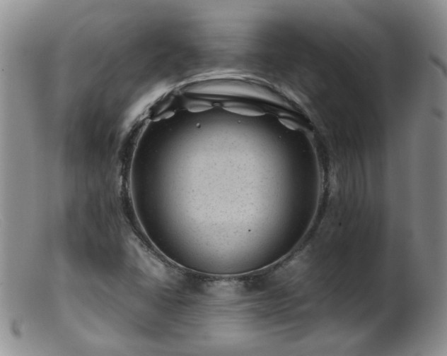 X0000099471406200805161100