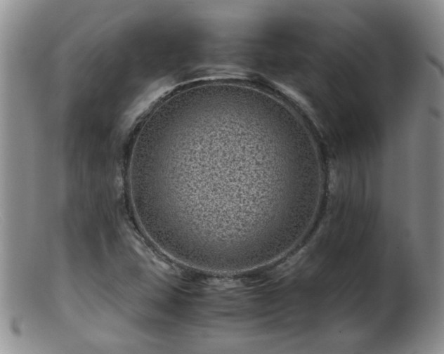X0000099471407200805161100