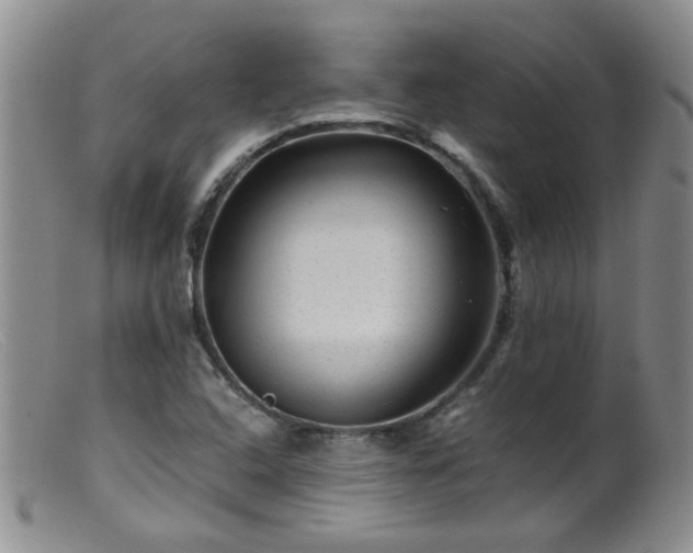 X0000099471408200805161100