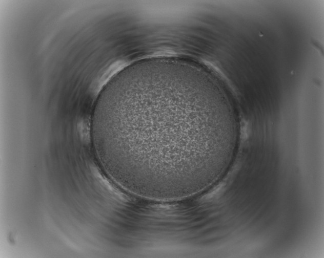 X0000099471409200805161100