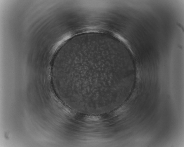 X0000099471411200805161100