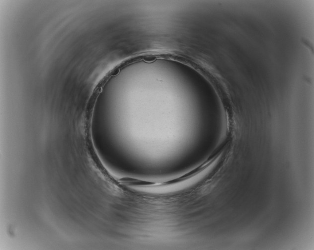 X0000099471412200805161100