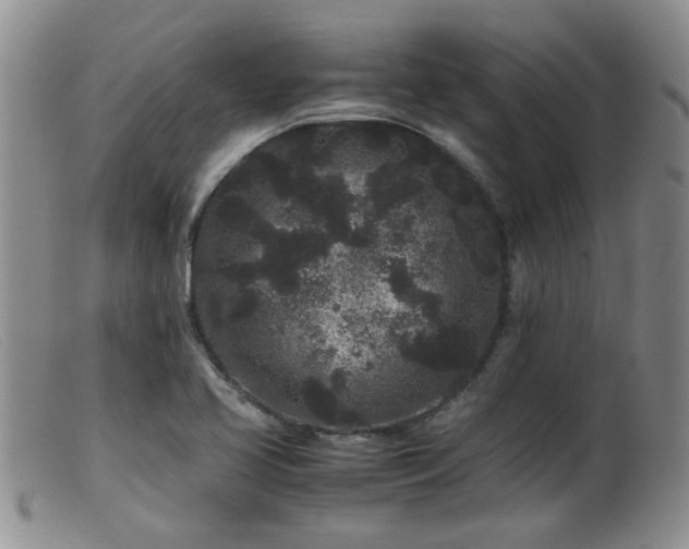 X0000099471413200805161100