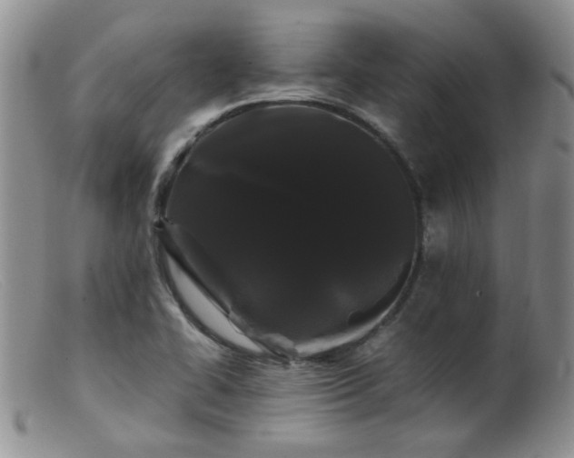 X0000099471414200805161100