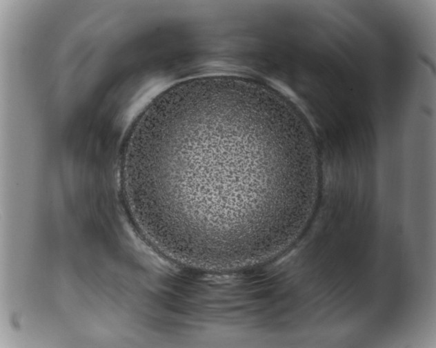 X0000099471415200805161100