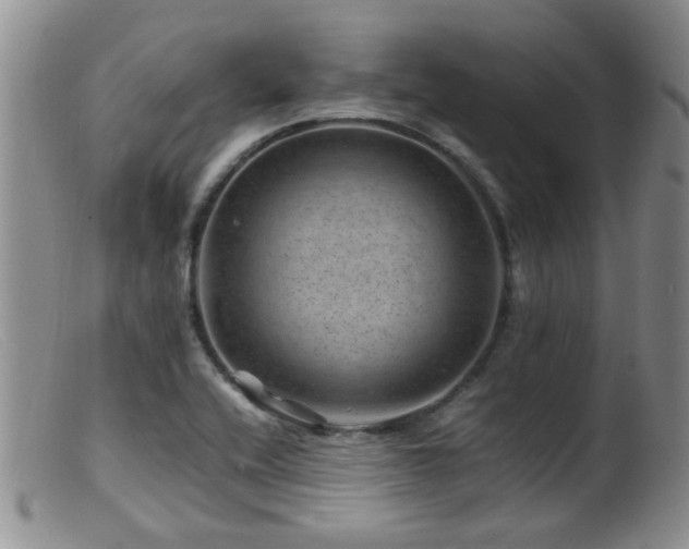 X0000099471416200805161100