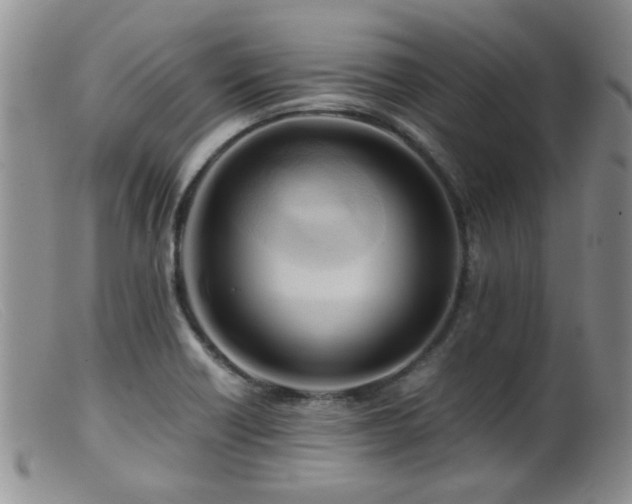 X0000099471418200805161100