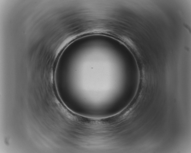 X0000099471420200805161100