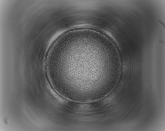 X0000099471421200805161100