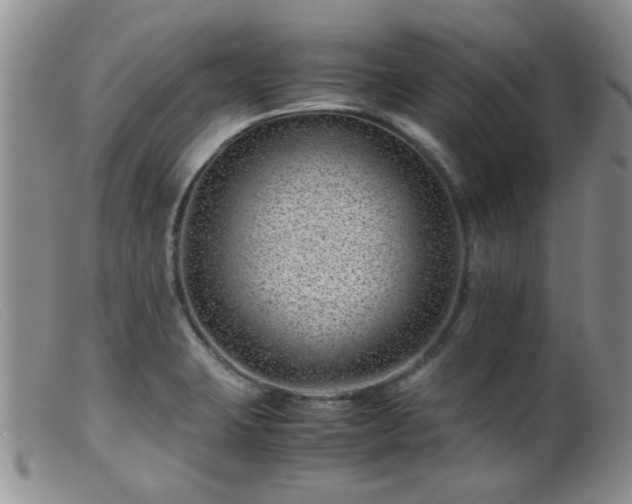 X0000099471423200805161100
