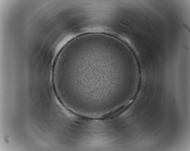 X0000099471424200805161100