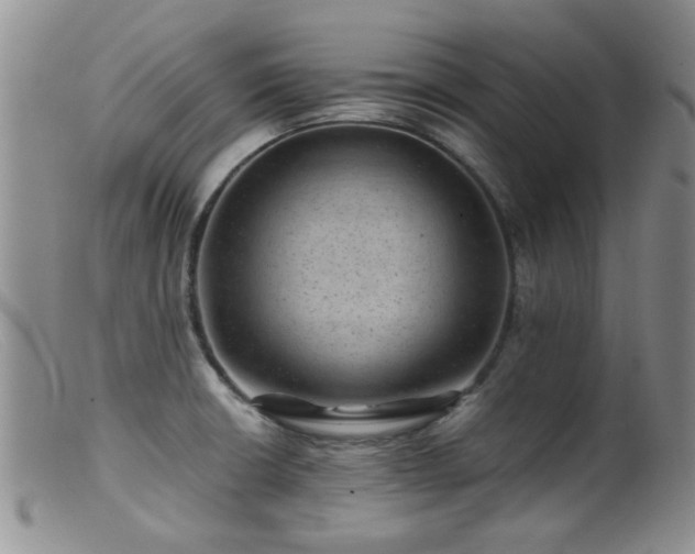 X0000099471426200805161100