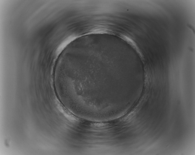 X0000099471427200805161100