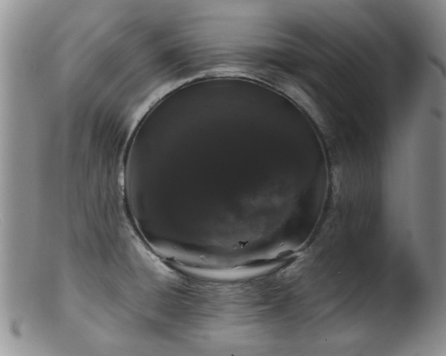 X0000099471428200805161100