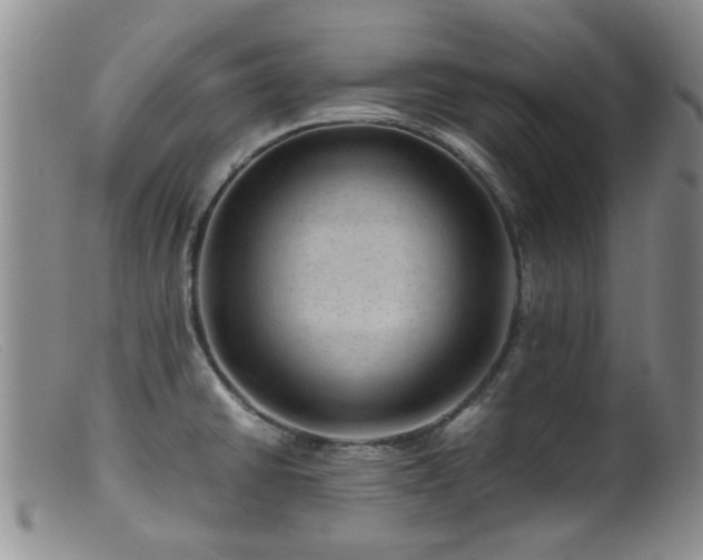 X0000099471430200805161100