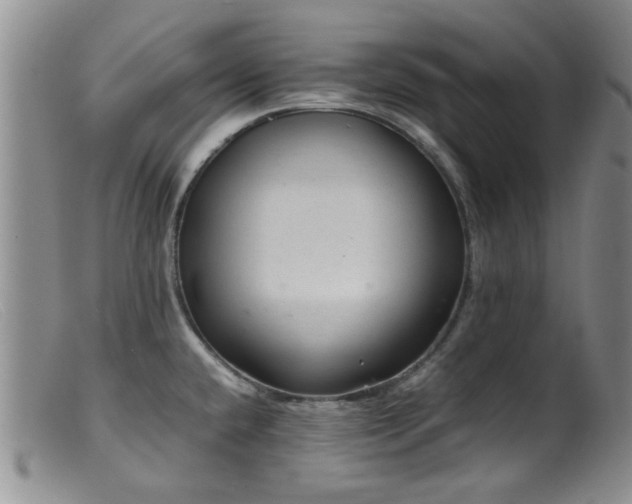 X0000099471432200805161100