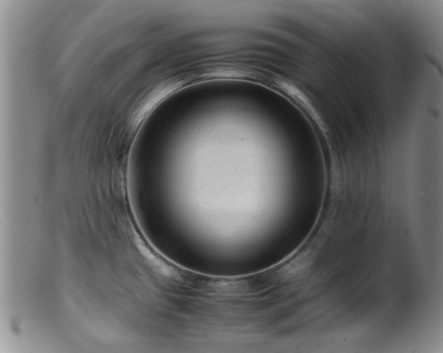 X0000099471433200805161100