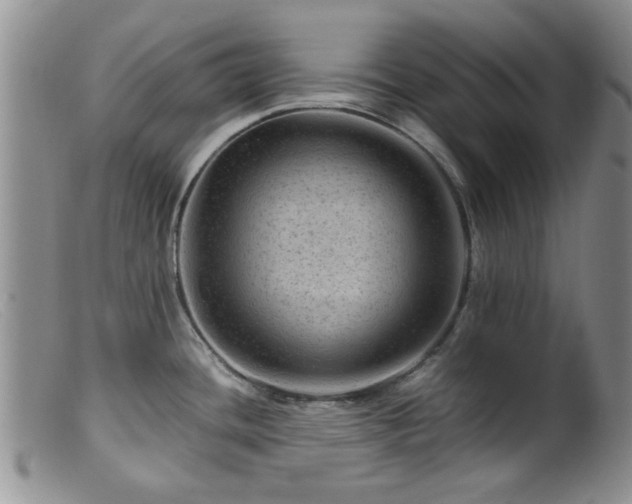 X0000099471436200805161100