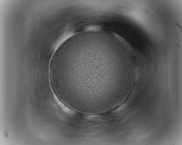 X0000099471439200805161100