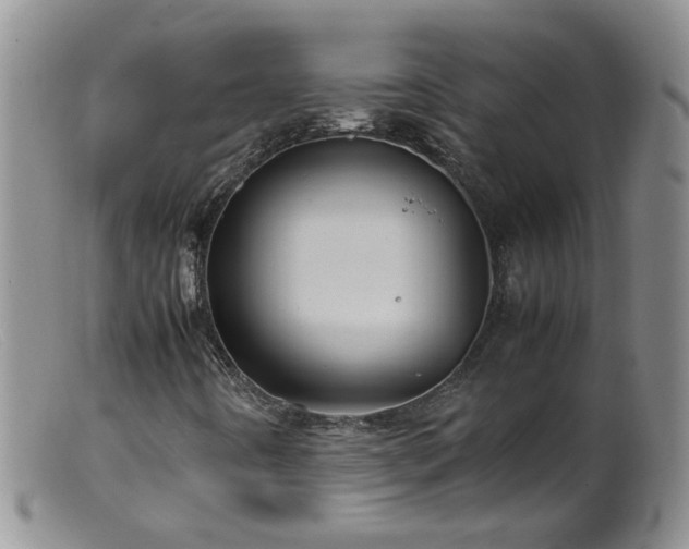 X0000099471442200805161100