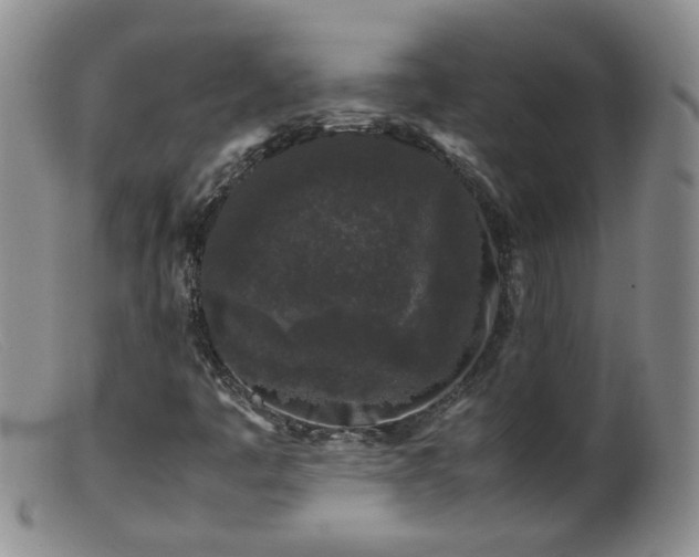 X0000099471445200805161100