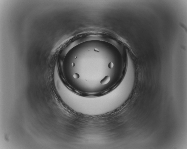 X0000099471448200805161100