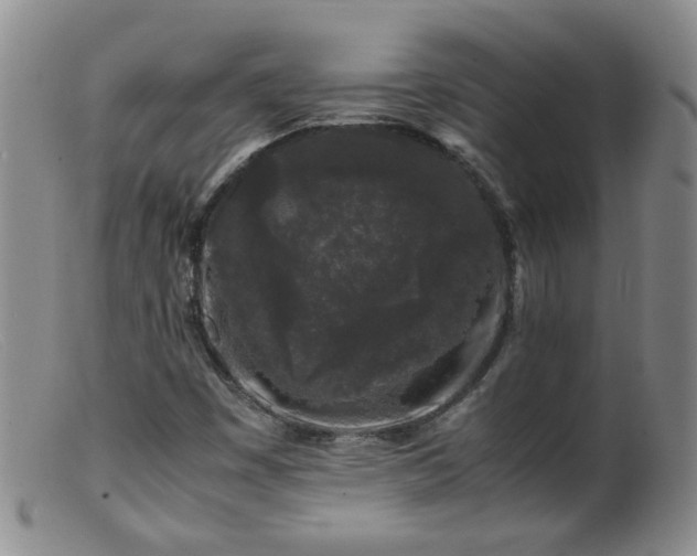 X0000099471449200805161100