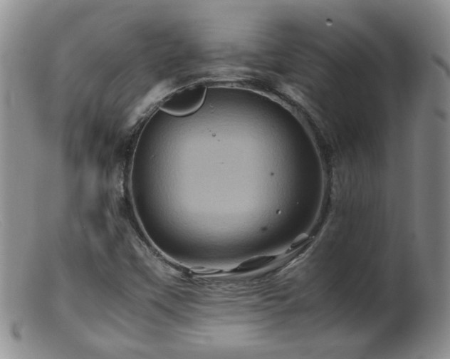 X0000099471451200805161059
